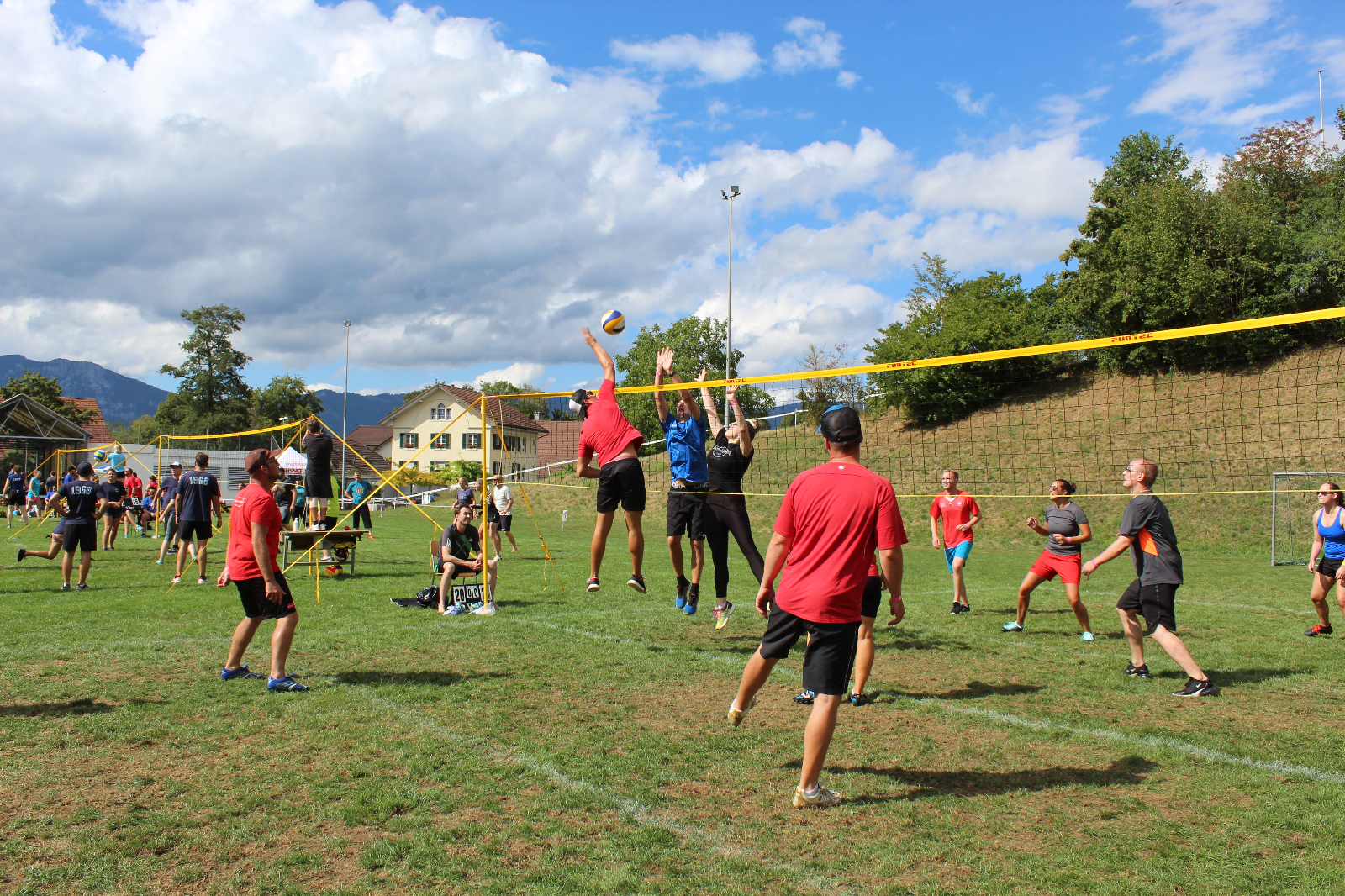 Volley  (100)